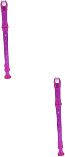 Didiseaon 2pcs 8 kids recorder instrument 8 hole clarinet plastic recorder flute for kids plastic flutes kids flute soprano recorder wood recorder musical instrument purple child translucent