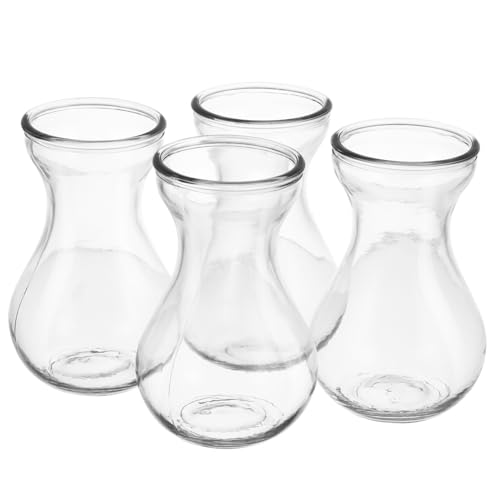 Warmhm Set Da 4 Vasi Per Fiori in Vetro Trasparente, Contenitori Idroponici Per Giacinti Da Tavolo, Decorazioni Eleganti Per Casa e Ufficio, Piccoli Portafiori Per Composizioni Floreali Secche