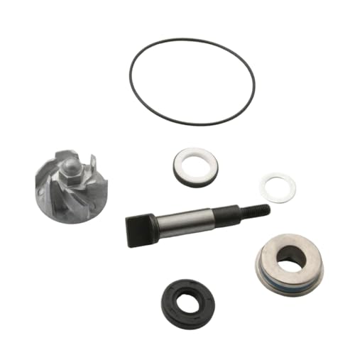 Kit réparation de pompe à eau SH 300 pour entretien Scoopy 300i