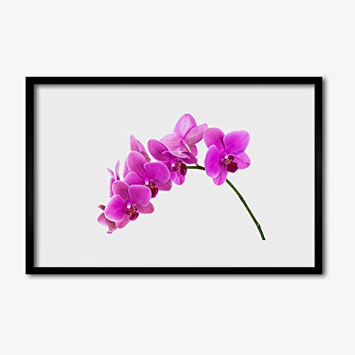 Photo cadre en MDF fleur d'orchidée affiche encadrée 60x40 cm salon chambre cuisine Tulup