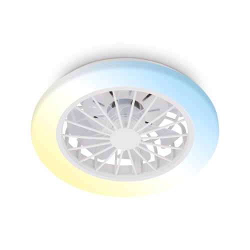 BRILONER - Ventilatore da soffitto con luce LED, telecomando, motore DC silenzioso con 5 velocità, CCT e luminosità regolabile, lampadario ventilatore da soffitto, lampadario, 38 cm, bianco
