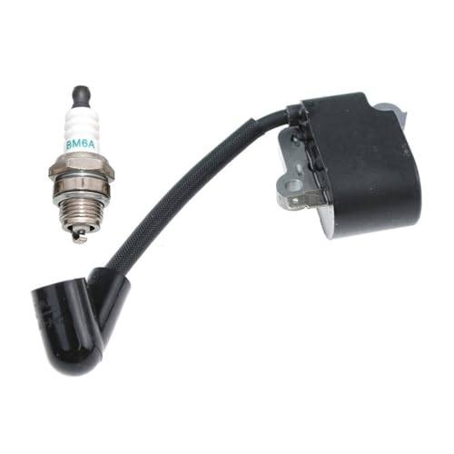 Bobine d'allumage pour résoudre les problèmes de démarrage 236 240