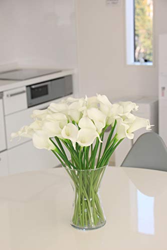 Amazon｜スタイリッシュ カラー リリィ 10本単位 人気商品 MIRAGE