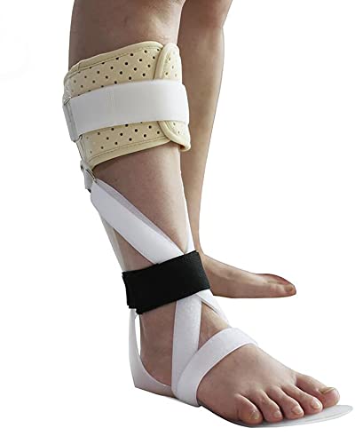 X^rCU[AʋĈ鑫ؖԗpu[XAT|[gXvgtAɂ݂̊ɘaAEAMA-L(Right,L)