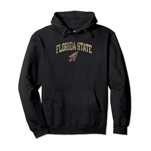 Florida State Seminoles Vintage Arrowhead Pullover Hoodie