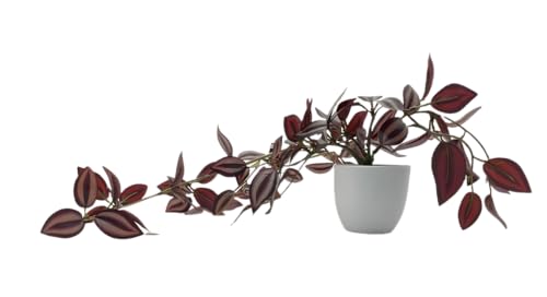 Kiko Artificial Plant Trailing with Pot 16.5" (42cm) Long Fake