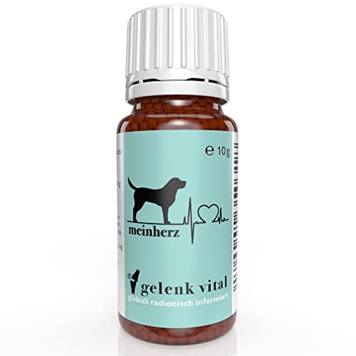 Mein HERZ Gelenk vital -aus Liebe zu ihrem Hund- zur Unterstützung der Gelenksfunktion und Regeneration der Muskulatur, bioenergetisch/radionisch mit MSM informiert.