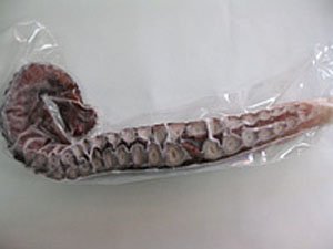 lł1{1kg II_R(kCYhg^R-)^ɔׂāA_炩A~Y_R̕G肪ǂB