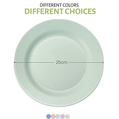 Orrdiffi Lot de 5 Assiette Plastique Reutilisable,Passe au Lave-Vaisselle et au Micro-Onde,non toxiques, sans BPA,Assiettes Incassable pour Pique-Nique de Voyage, Camping ou Usage Quotidien 25cm