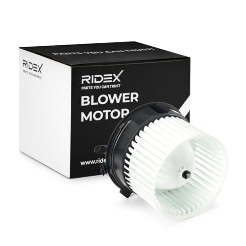 RIDEX 2669I0155 Ventilador habitáculo Compatible con NISSAN Qashqai/Qashqai +2 I J10, NJ10