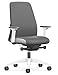 Interstuhl EVERY INTERIOR Edition – Sedia da ufficio che segue i movimenti del corpo in avanti e all'indietro, con supporto lombare regolabile (Grigio | Bianco)