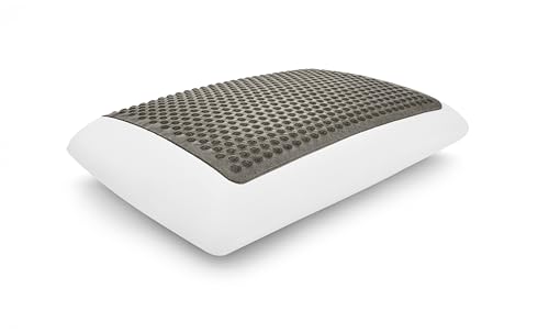 Comfort Revolution Charcoal-Infused Gel Memory Foam Bed Pillow Standard