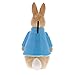 Beatrix Potter Peter Rabbit Money Bank Money Bank