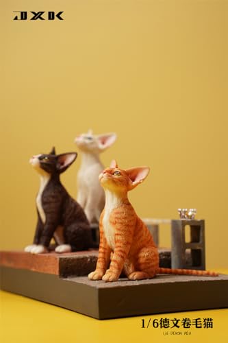 Chat Devon Rex AMITD 1:6 figurine en résine pour décorer votre bureau JXK123B5