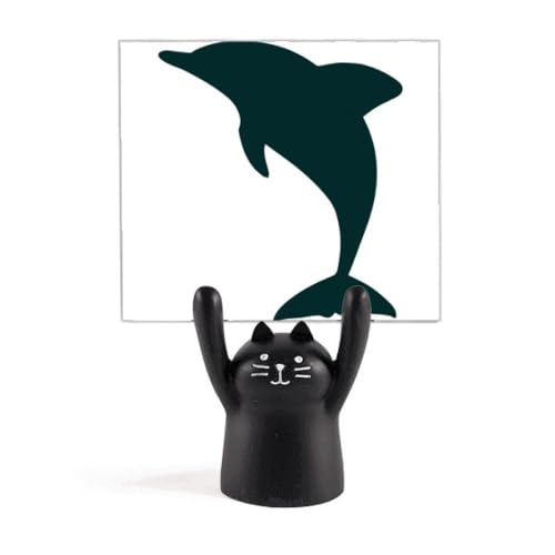 u[I[Vl킢CJ J[gD[LX^h^z_[