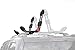 BRIGHTLINES Folding Kayak Roof Rack, a Set of Two Foldable Kayak Roof Rack Carrier for Kayaks, Canoe, SUP, Mounted on Car SUV Roof Crossbars