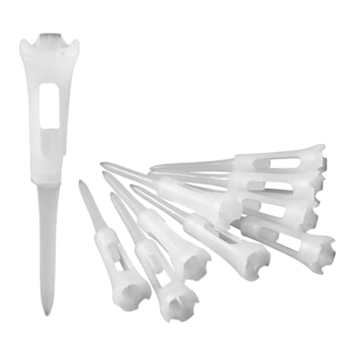 q[hg[h SteB[ EbheB OeB[ Ry ii 10{Zbg (10{Zbg)