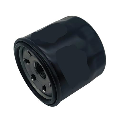 Filtre à huile de haute précision pour moteur CF 188 500 500CC pièce 0180-011300-0B00 - 2