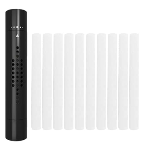 1 PCS Ambientador Coche, Con 10 Palos De Aroma Sólido,Difusor De Fragancia Para Vehículo, Purificador De Aire, Desodorante Elimina Olores, Adecuado Para Coche (Negro)