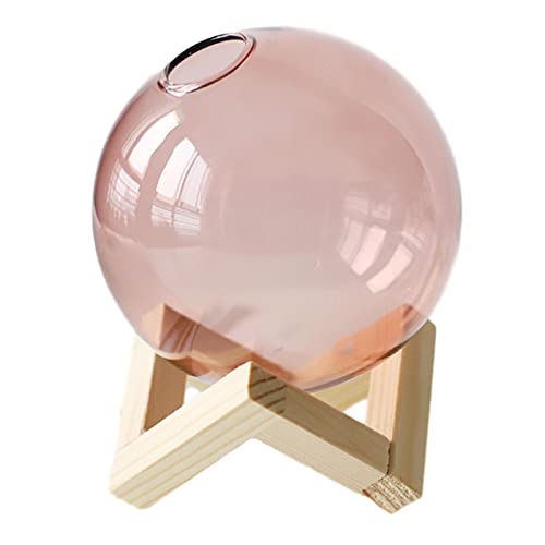 Gcljlmy Florero decorativo para plantas, con jarrón de cristal esférico para arreglos eventos, plantas de luz, jarrón de brotes de cristal, decoración del hogar, rojo