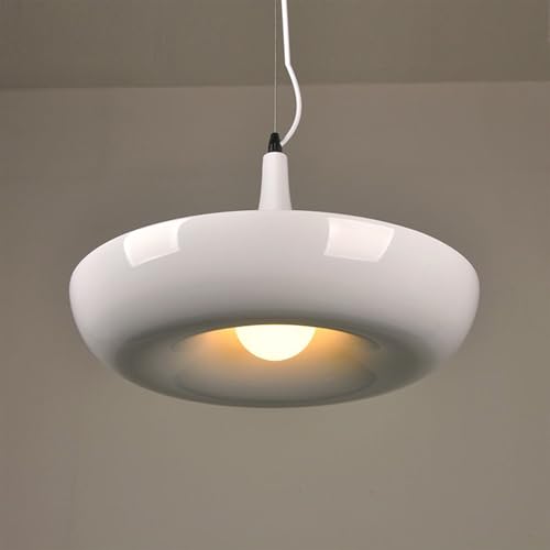 Colgante con maceta para dormitorio y espacios interiores 3