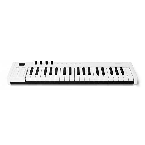 WJCCY 37 Touches Multi-funcations Midi Clavier Portable Electronic Piano numérique orchestrations Instrument de Musique… - Les Beatles, Paul McCartney, John Lennon, RIngo Starr, George Harrison WJCCY 37 Touches Multi-funcations Midi Clavier Portable Electronic Piano numérique orchestrations Instrument de Musique…
