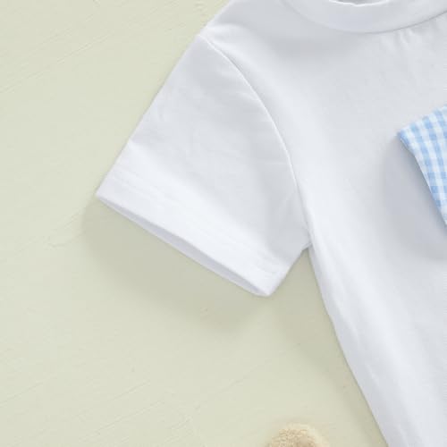 Image of Toddler Baby Boy Easter Rabbit Outfit Short Sleeve Bunny Carrot Smocked T-shirt Elastic Waist Shorts Summer Clothes