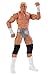 WWE Super Strikers 6" Dolph Ziggler Figure
