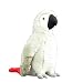 Süße Macaw Puppe Simulation Afrikanische graue Papagei Plüsch Spielzeug Plüsch Simulation Wildtier 28 cm Laimi