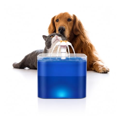 Fuente de agua para mascotas y gatos con luz LED nocturna y depósito automático de 2 litros 6