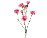 kunstpflanzen-discount.com