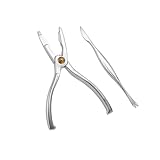 Photo Gallery romisbaba 2 pezzi strumenti per granchio in acciaio inossidabile pinza e ago per sbucciare crostacei utensili da cucina compatti per facile rimozione gusci di aragosta e granchio design Photo Gallery romisbaba 2 pezzi strumenti per granchio in acciaio inossidabile pinza e ago per sbucciare crostacei utensili da cucina compatti per facile rimozione gusci di aragosta e granchio design