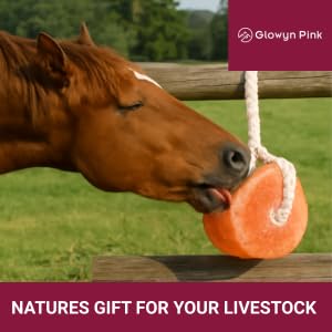Image of Himalayan Mineral Salt Block on Rope Pack of 4 (3lbs each) - 100% Organic Pink Salt Lick for Horses and Livestock. Deer Attractant with No Harmful Elements.