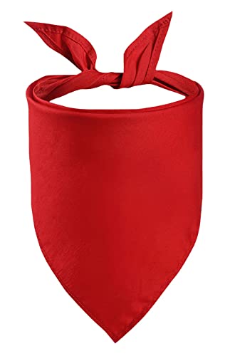 Petitebelle Hundehalstuch, einfarbig, Rot, Größe L