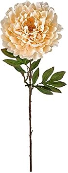 Ashland Cream Peony Stem, 12 Pack