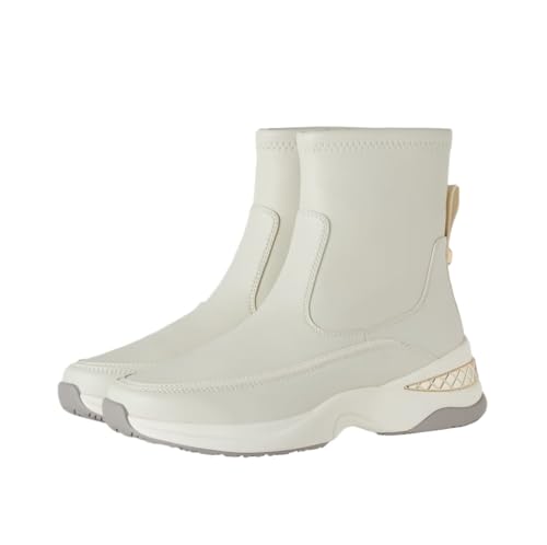 [_CAi] ׽޲ V[gu[c  AC{[ LTCY 172175600013