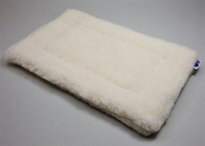 4 year old french bulldog