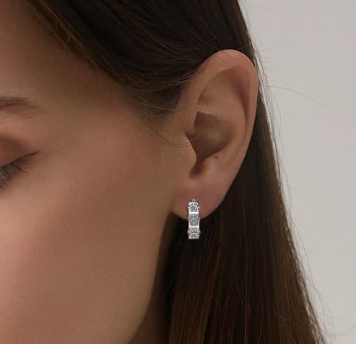 Silver Paw Print Hoop Earrings - Sterling Silver Hypoallergenic Cubic Zirconia Cute Animal Paw Print Hoop Earrings Dainty Round Earring for Sensitive Ears for Women4