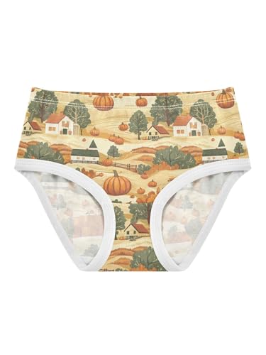 ZZKKO Pumpkin Harvest on The Farm Girls Underwear Toddler Panties for Girls Comfort Brief Size 2T