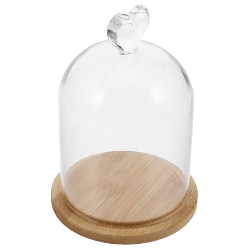 SHINEOFI Cloche en Verre Transparente avec Base en Bambou Mini Cloche pour Fleurs Éternelles et Bougies Parfumées Décoration Intérieure Romantique et...