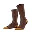 Brown Cinnamon 5186