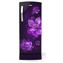 Whirlpool 200 L 3 Star Direct-Cool Single Door Refrigerator (215 IMPRO ROY 3S PURPLE MULIA, Purple Mulia)