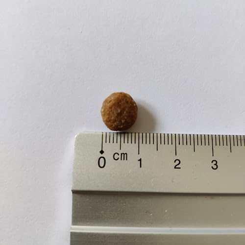 GATO Premium Senior Croquettes pour Chat Âgé et Moins Actif