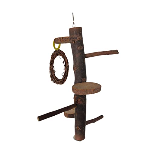 COLLBATH Parrot Exercise Stand Natural Wooden Bird Perch Birds Stand Parrot Platform