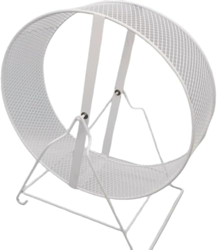 LamanttX̃jOzC[AybĝAbLOJ[AÂȒ܌AȑsʒuASAAȒPAX (BS,26cm)