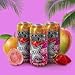 Rockstar Pure Zero Energy Drink - #TMGS - 16fl.oz. (Pack of 16)
