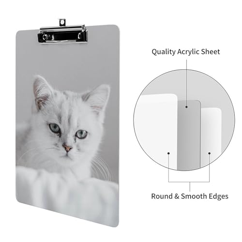 Porte-document avec clip profil bas A4 design chat blanc original - 3