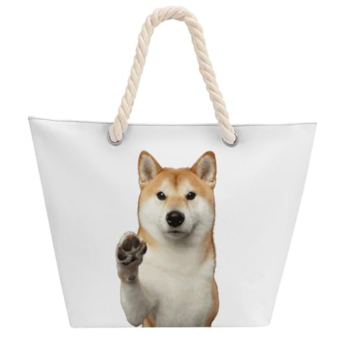 [ESISAMT] Č   fB[X e  |  2way t@Xi[t  JWA A ʋ ʊw o s 蕨