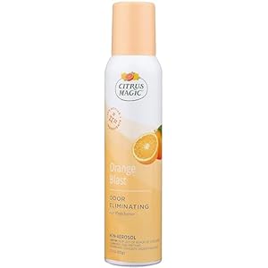 Citrus Magic Odor Eliminator Air Freshener Spray for Home, Orange Blast, 3-Ounce, Pack of 3