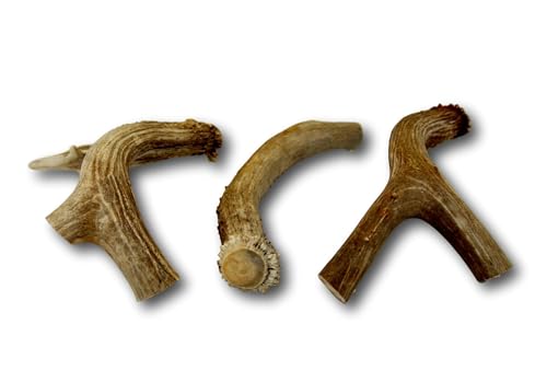 Colágeno, Imagen adicional